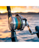 Daiwa 2020 Saltiga LD Overhead Reels