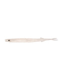 Daiwa Bait Junkie Gar 6.5inch