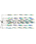 Pakula 36 Inch Slimy Single Flash Strip Dredge