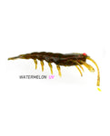 Pro Lure Clone Prawn Lures