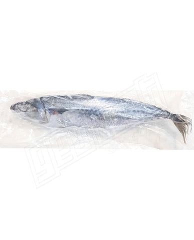 Whole Slimey Mackerel